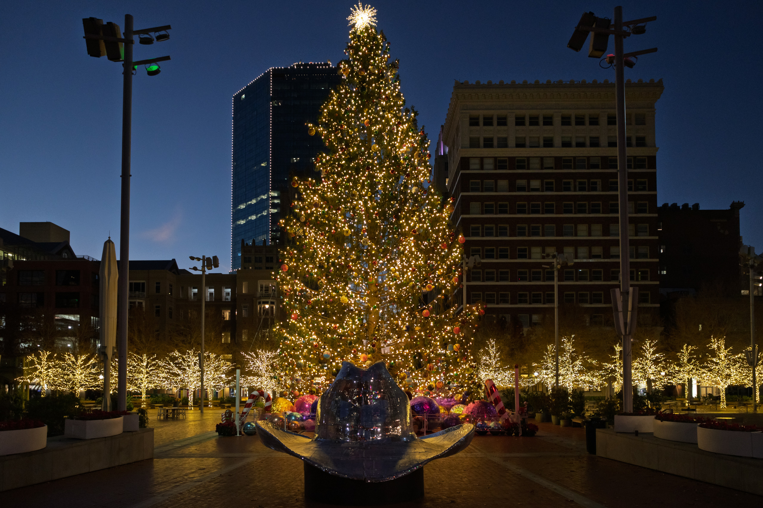 EOS 1D X Mark III 0028