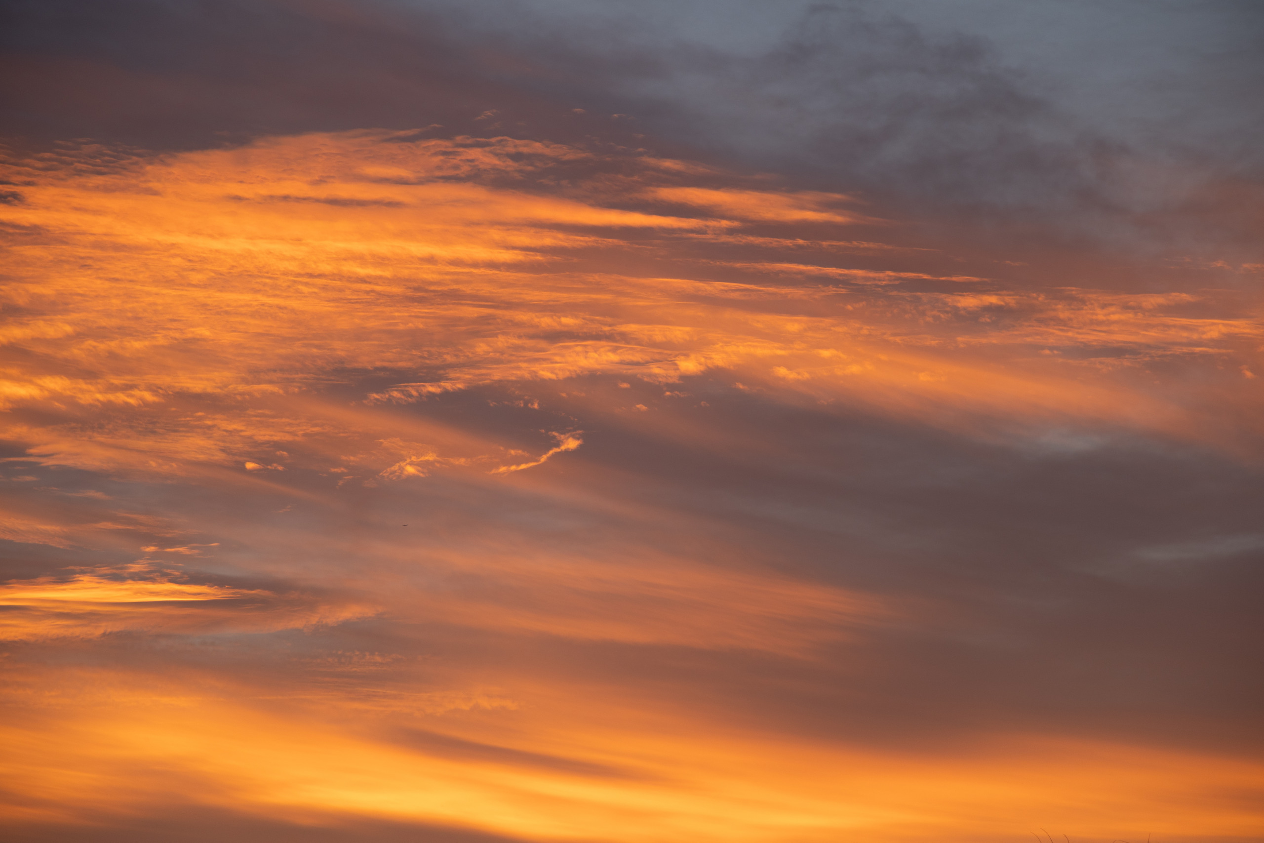 EOS 1D X Mark III 0099